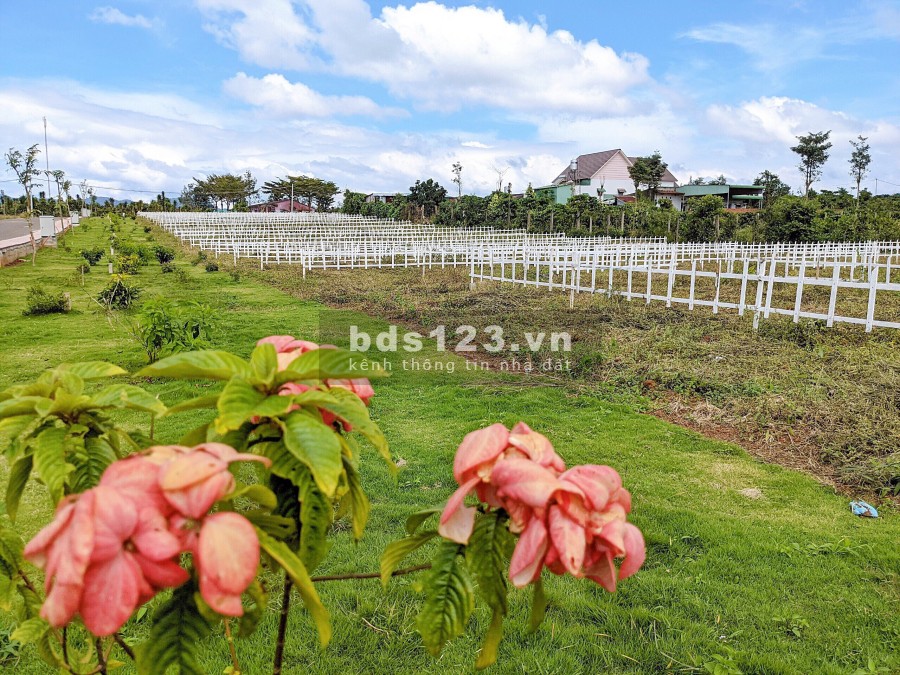 Đất nền Bảo Lộc full thổ cư vieww cối xay gió Hà Lan, sổ hồng riêng, giá chỉ từ 800 triệu/nền