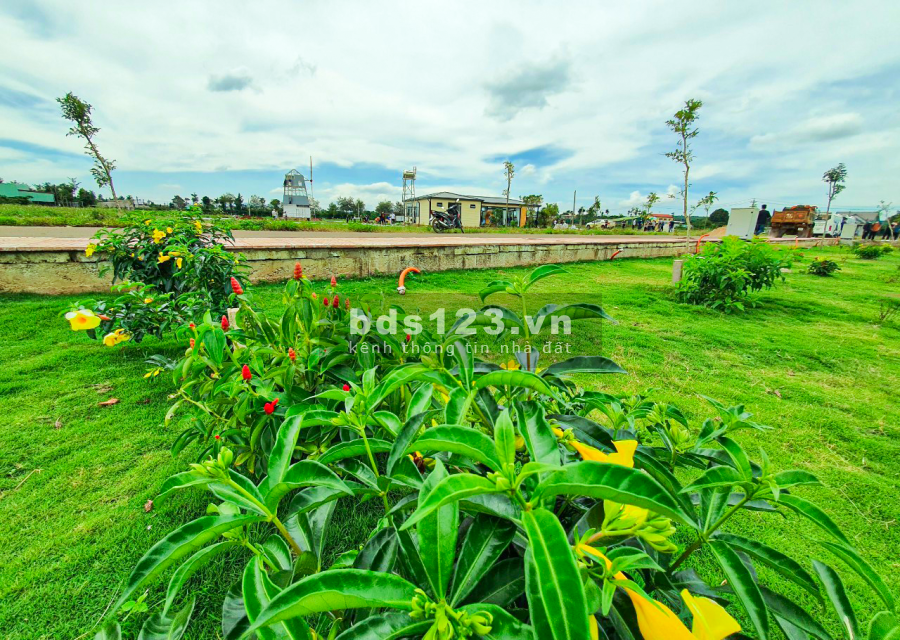 Đất full thổ cư tại Bảo Lâm, Bảo Lộc mặt tiền Nguyễn Văn cừ 24m giá đầu tư 6 triệu/m2