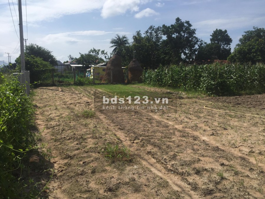 Cần bán đất thuộc thôn Tân 1 xã Vạn Thắng, huyện Vạn Ninh, tỉnh Khánh Hoà, lh 0907504590