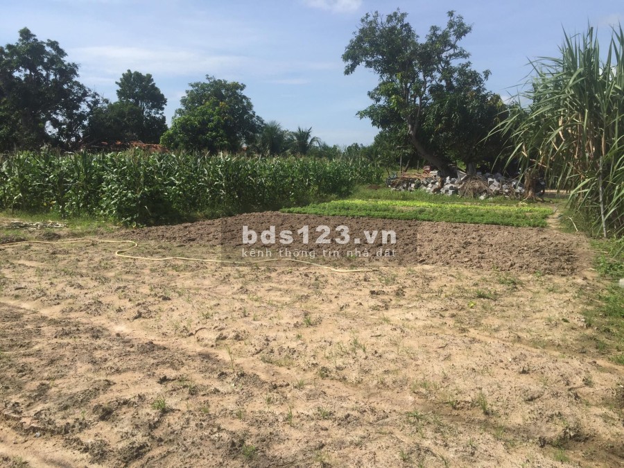Cần bán đất thuộc thôn Tân 1 xã Vạn Thắng, huyện Vạn Ninh, tỉnh Khánh Hoà, lh 0907504590
