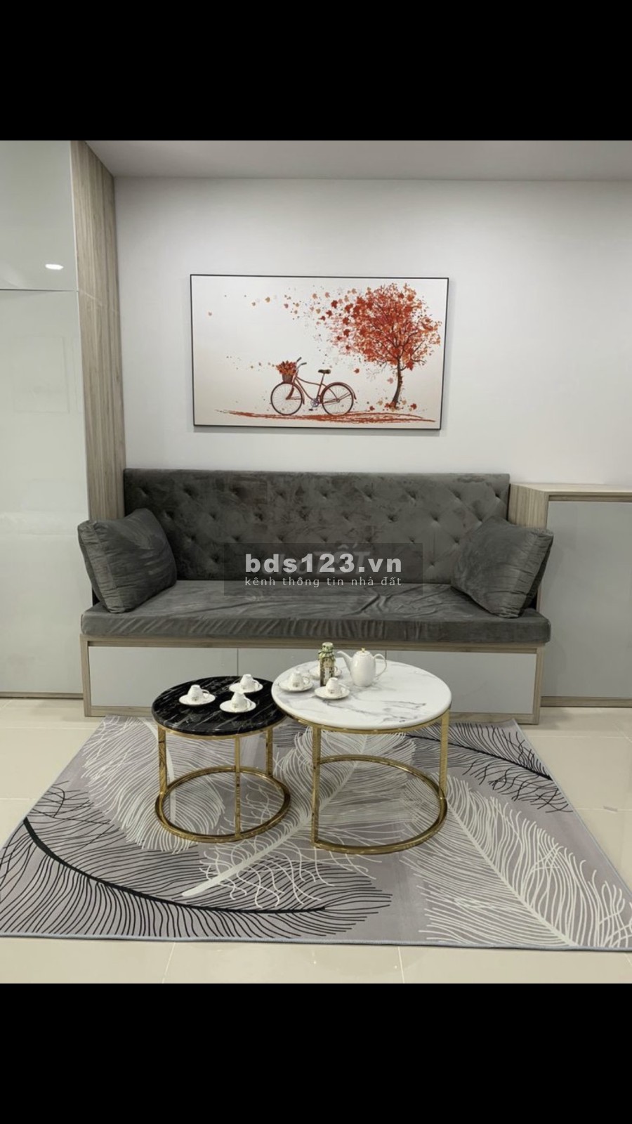 Chính chủ cho thuê căn hộ Sunrise City Nguyễn Hữu Thọ Quận 7 giá từ 8 triệu/tháng