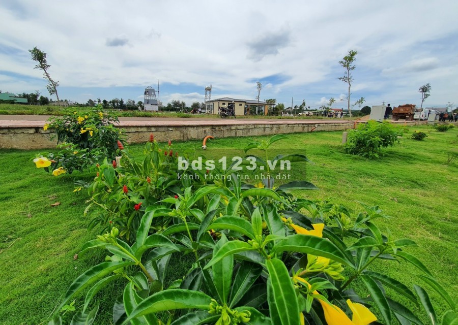 Đất đầu tư mặt tiền lộ 24m sổ đỏ công chứng trong ngày chiết khấu 4% Áp dụng đến 09/11