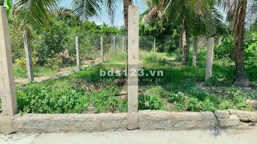 Đất thôn Xuân Lạc xã Vinh Ngọc gần sông mát mẻ liên hệ 0907901572, giá tốt đầu tư