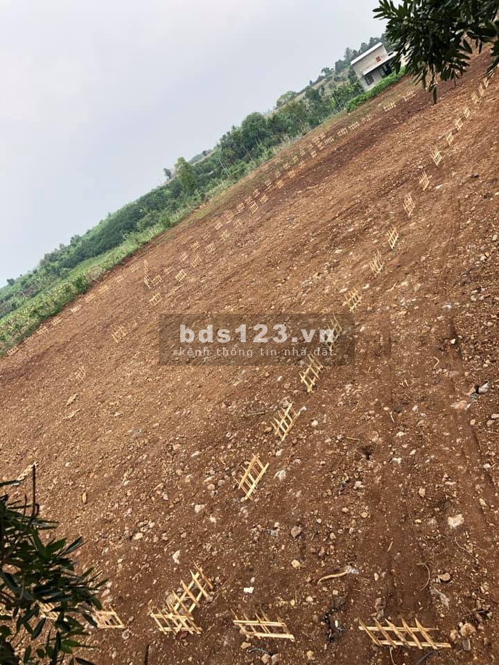 Bán lô đất diện tích 1000m2 giá 590 triệu đường ô tô 5m, tại Sông Thao, Trảng Bom, sổ sẵn