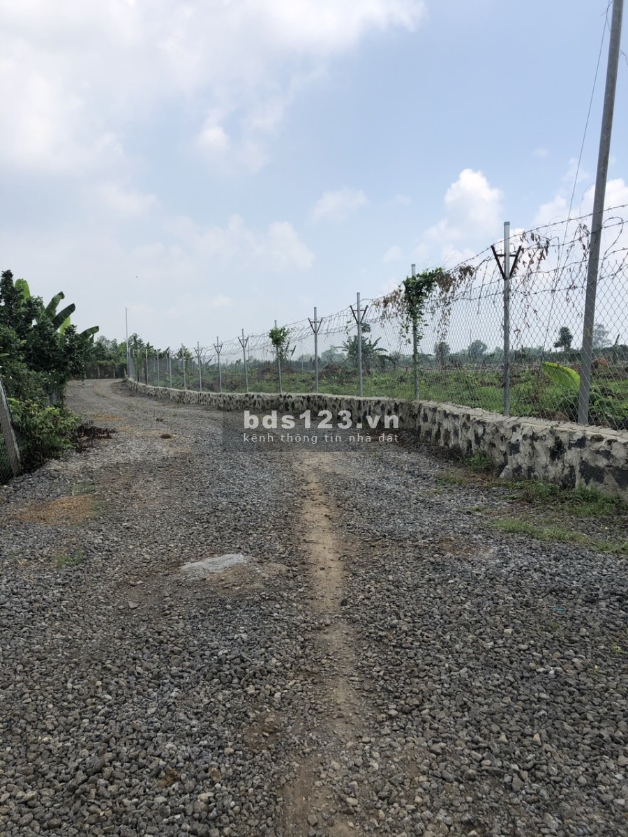 Bán lô đất diện tích 1000m2 giá 590 triệu đường ô tô 5m, tại Sông Thao, Trảng Bom, sổ sẵn
