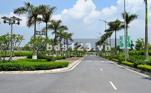 Bán đất thổ cư đường Võ Văn Bích, Xã Bình Mỹ, Củ Chi liên hệ xem đất 0908894439