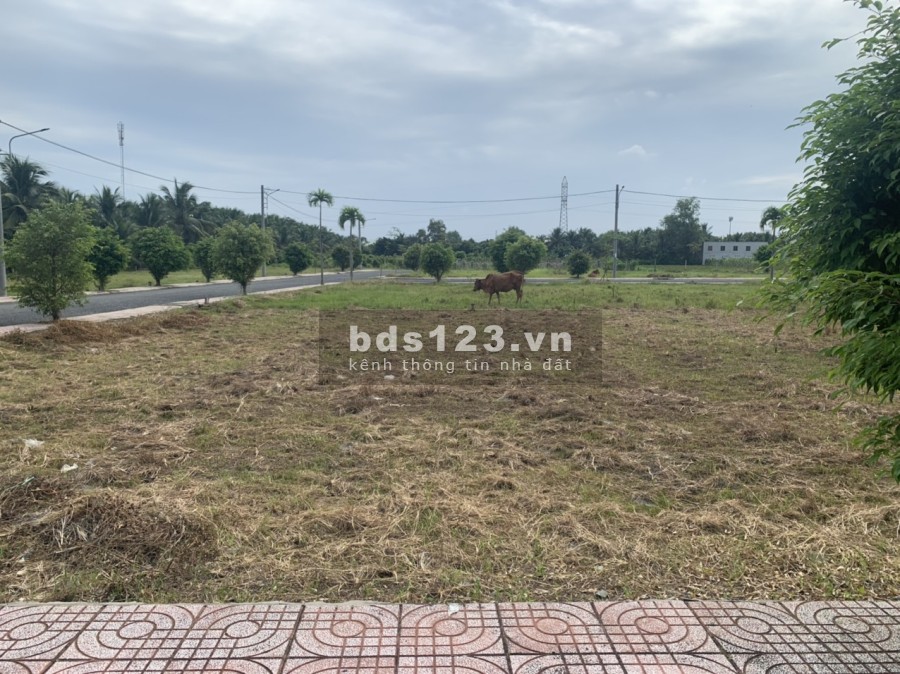 Chit với 180 triệu sở hữu đất nền liền kề khu công nghiệp Tân Hương, hỗ trợ vay 50%