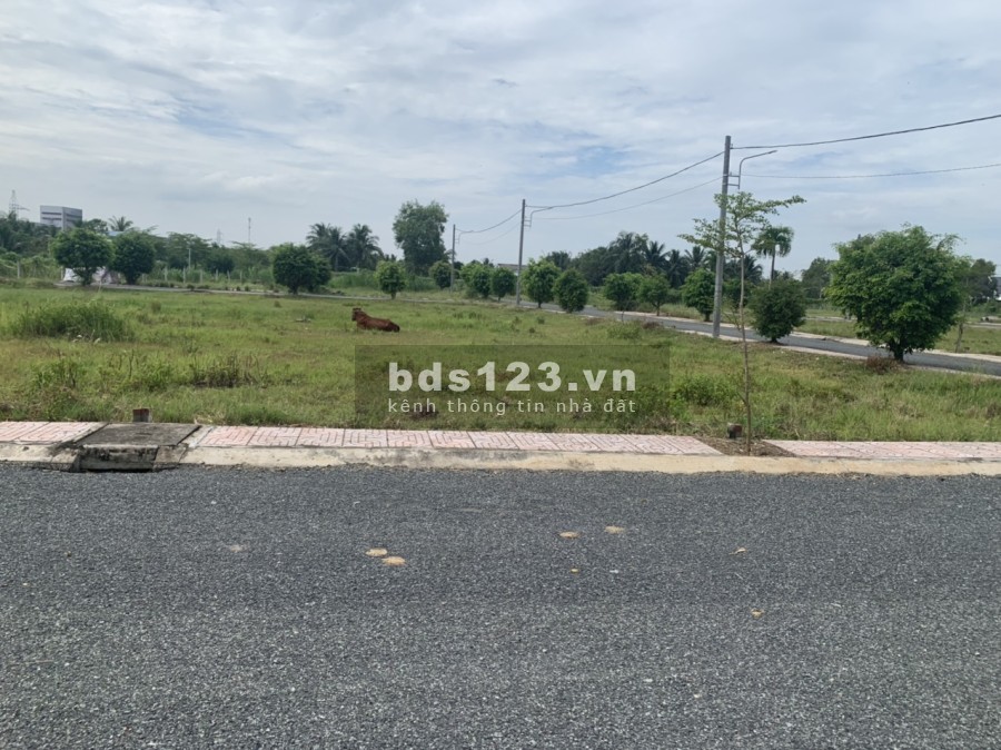 Chit với 180 triệu sở hữu đất nền liền kề khu công nghiệp Tân Hương, hỗ trợ vay 50%