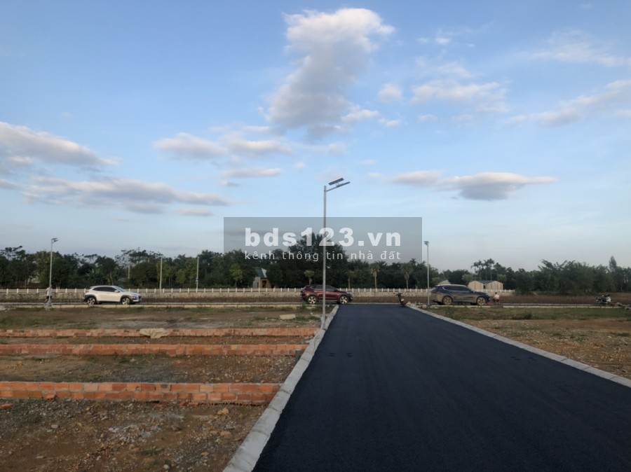 34 lô hồ sen tiềm năng tăng giá x2 x3 trong 3 năm