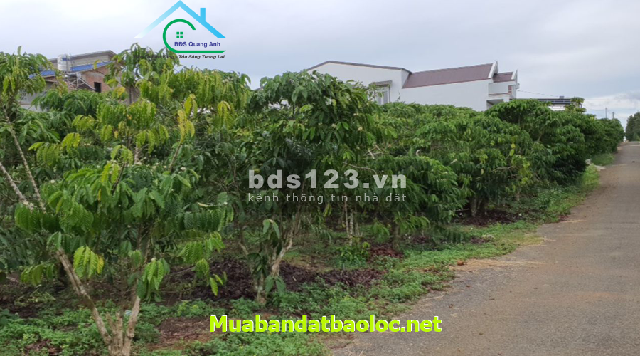 Đất Phan Đình Phùng 2 mặt tiền cách đường chính khoảng 30m Bảo Lộc