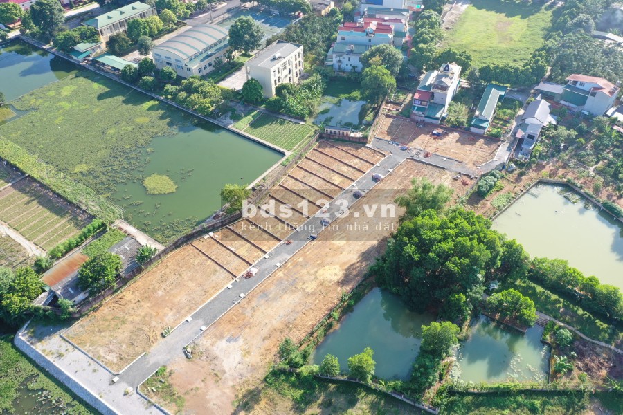 34 lô hồ sen tiềm năng tăng giá x2 x3 trong 3 năm