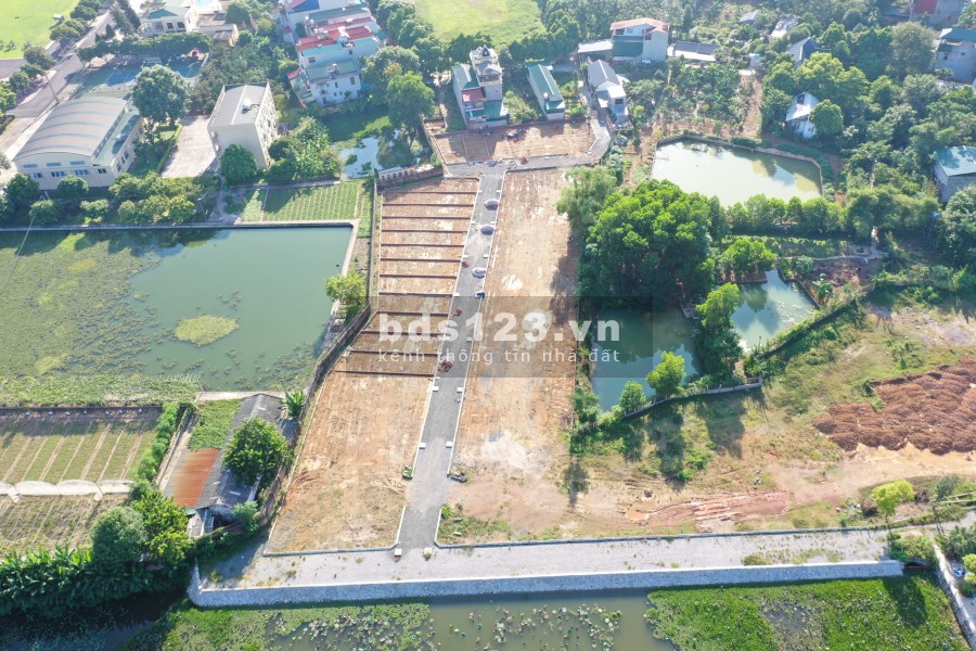 34 lô hồ sen tiềm năng tăng giá x2 x3 trong 3 năm
