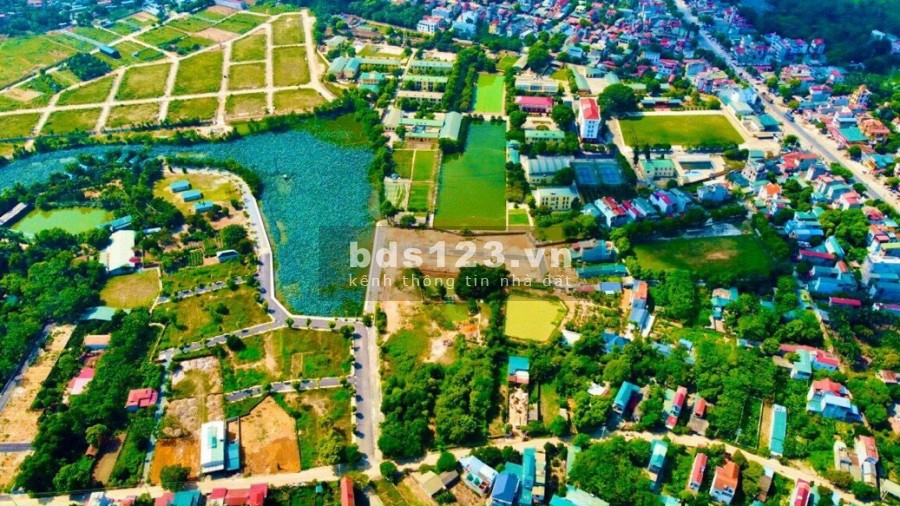 34 lô hồ sen tiềm năng tăng giá x2 x3 trong 3 năm