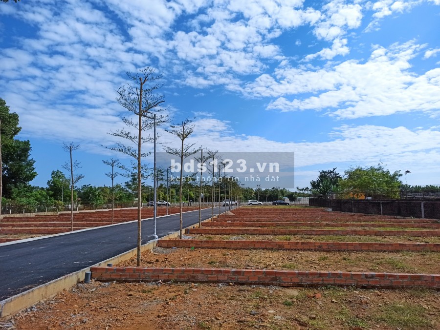 34 lô hồ sen tiềm năng tăng giá x2 x3 trong 3 năm