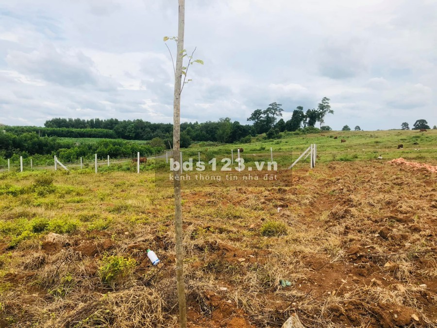 Đất nền sổ hồng đầy đủ tại khu dân cư Phú Mỹ - Bà Rịa Vũng Tàu lh 0901401415