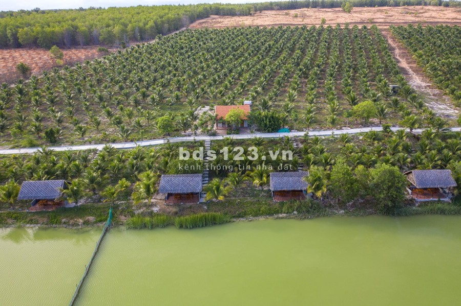 Đất ven biển thuộc các xã Hòa Thắng, Hồng Thái, TT Chợ Lầu, Huyện Bắc Bình , Bình Thuận