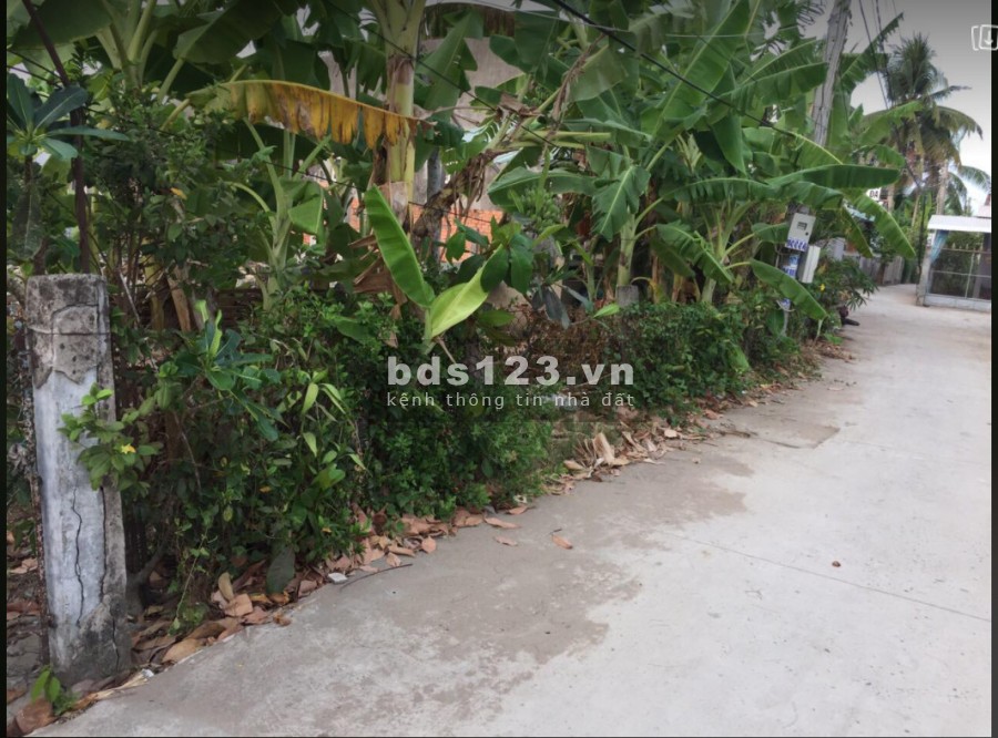 Bán đất thổ cư 455,8m2 giá 5tr/m2 Mặt tiền công viên văn hóa huyện Giồng Trôm, Bến Tre