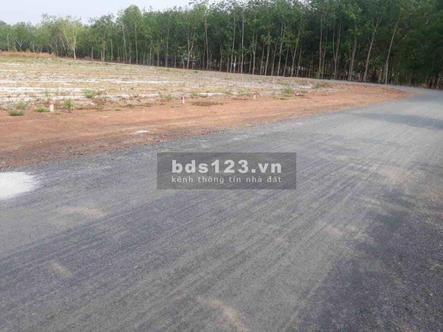 Đất sào chính chủ ngay cụm Tái định cư Becamex Chơn Thành liên hệ 0388092828