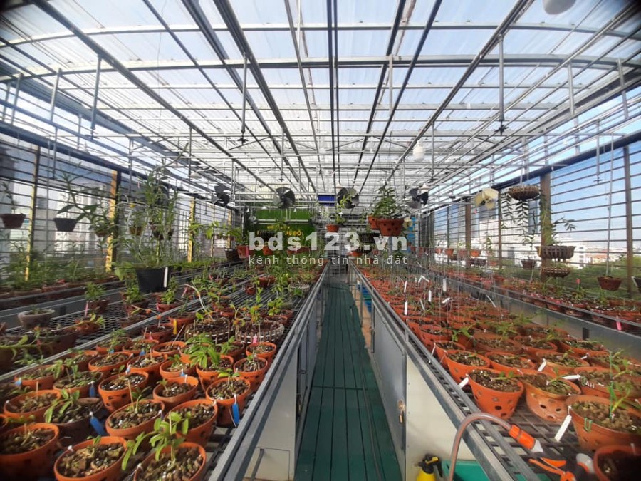 Cần bán gấp tòa nhà văn phòng cực đẹp tại phố Trần Thái Thông, Cầu Giấy 150m2 x 7 tầng