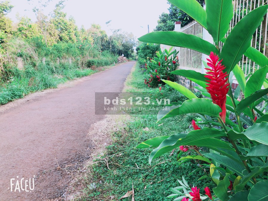 Đang cần bán lô đất Thành phố Long khánh ngay ngã ba Tân Phong sổ hồng thổ cư riêng