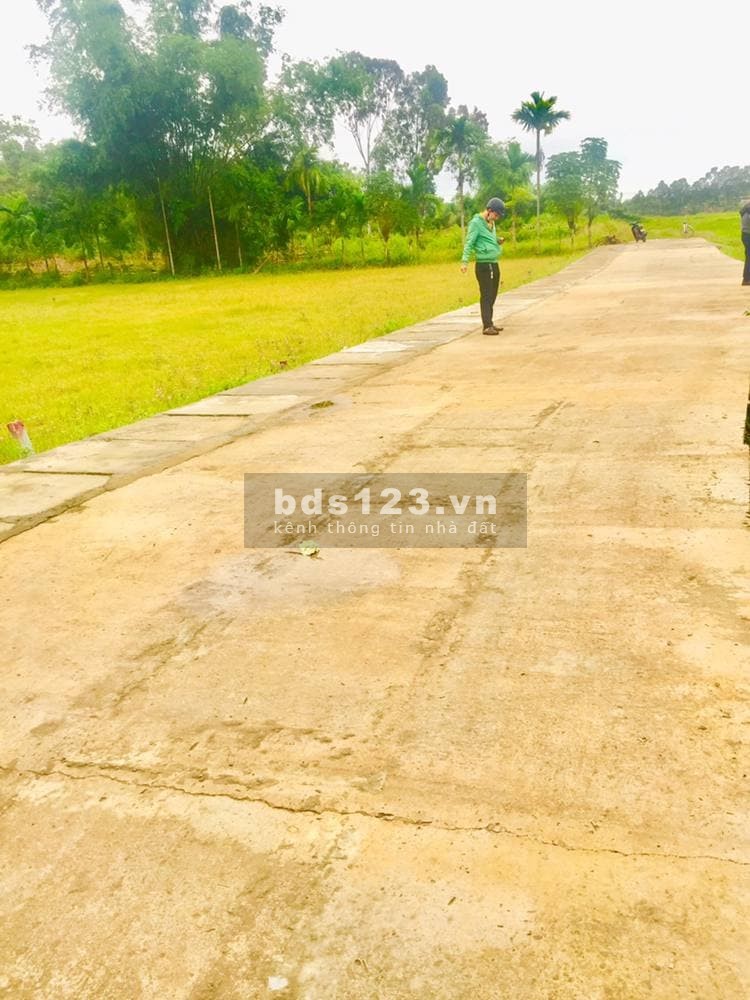 Khu dân cư Điện Tiến giá rẻ chỉ 4xx hấp dẫn cho giới đầu tư, pháp lý an toàn, minh bạch