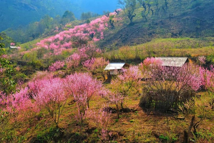 Cần bán gấp mảnh đất nhỏ vị trí đắc địa gần trung tâm Y TÝ, đường quy hoạch mở rộng 13m