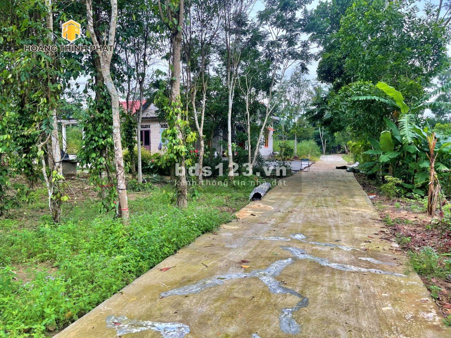 Ra mắt 3 lô F0 Hương Xuân, Hương Trà giá bán 4,x triệu/m2 sổ hồng từng lô, lh 0886196169