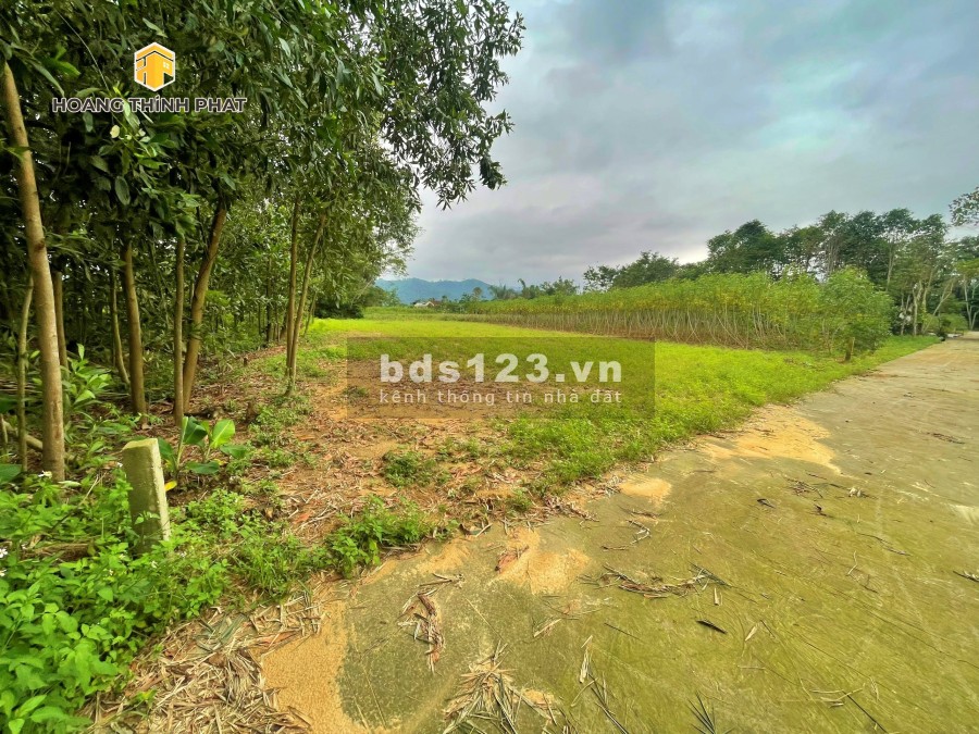 Ra mắt 3 lô F0 Hương Xuân, Hương Trà giá bán 4,x triệu/m2 sổ hồng từng lô, lh 0886196169