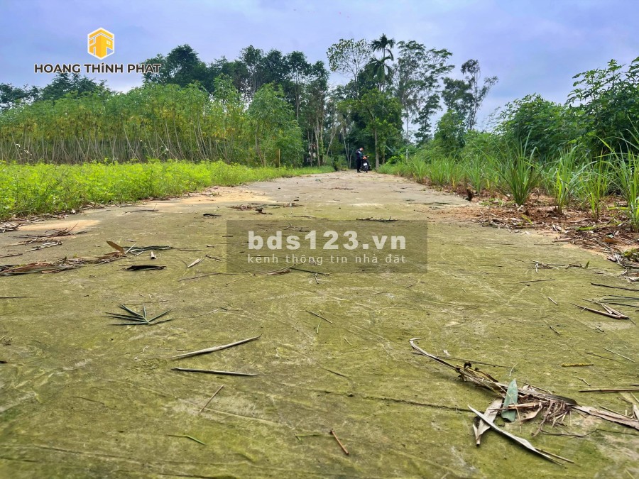 Ra mắt 3 lô F0 Hương Xuân, Hương Trà giá bán 4,x triệu/m2 sổ hồng từng lô, lh 0886196169