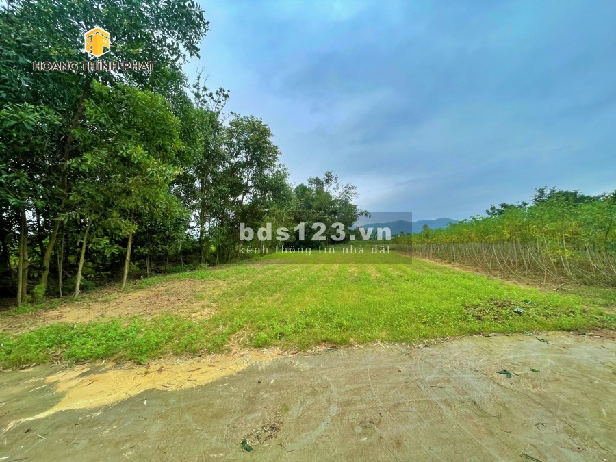 Ra mắt 3 lô F0 Hương Xuân, Hương Trà giá bán 4,x triệu/m2 sổ hồng từng lô, lh 0886196169