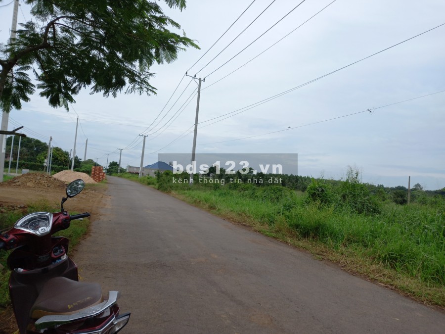 Đất Đoàn Trung Còn, gần khu công nghiệp Đất Đỏ giá đầu tư, vị trí đắc địa, đường lớn