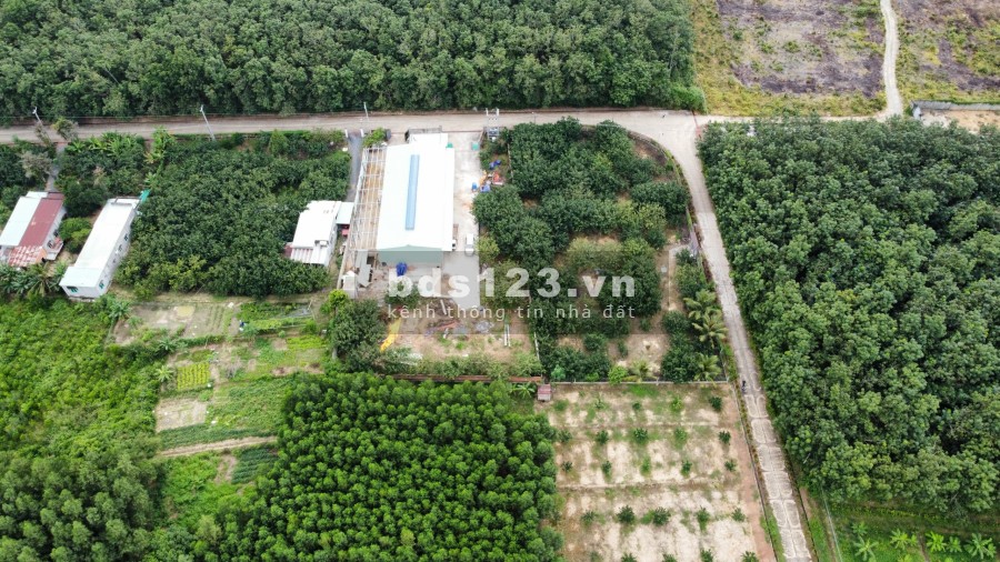 Vườn bưởi diện tích sử dụng 2400m2 có 150m thổ cư xã Bình Lợi khu dân cư hiện hữu