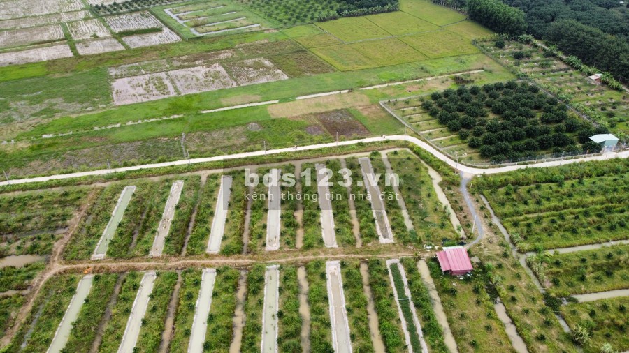 Vườn bưởi diện tích sử dụng 2400m2 có 150m thổ cư xã Bình Lợi khu dân cư hiện hữu
