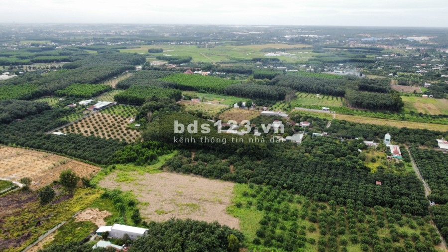 Vườn bưởi diện tích sử dụng 2400m2 có 150m thổ cư xã Bình Lợi khu dân cư hiện hữu