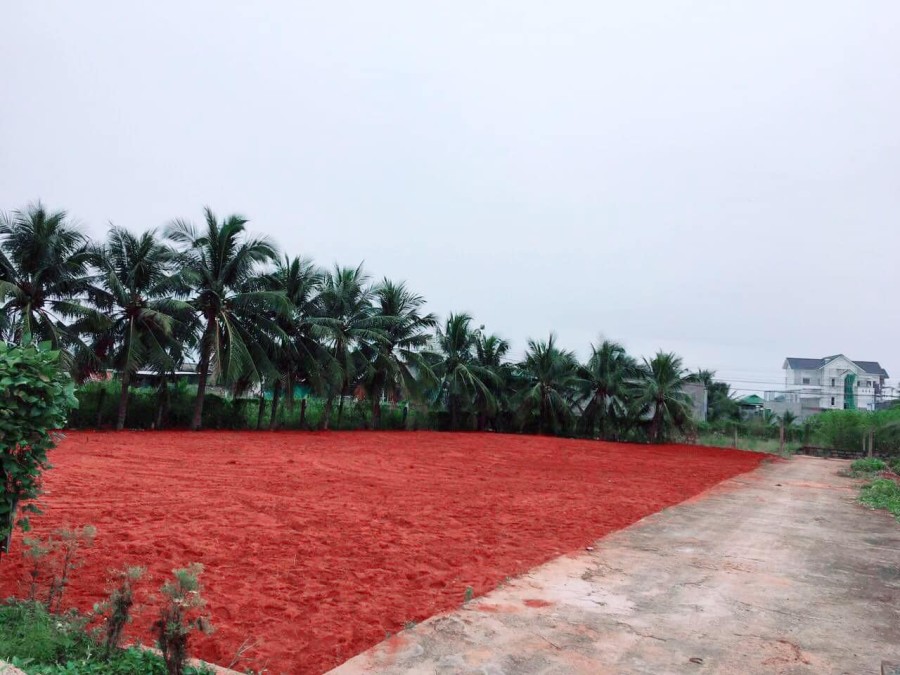 Đất nền Hàm Thắng gần trung tâm Phan Thiết cách Quốc Lộ 1A 50m sổ riêng từng nền