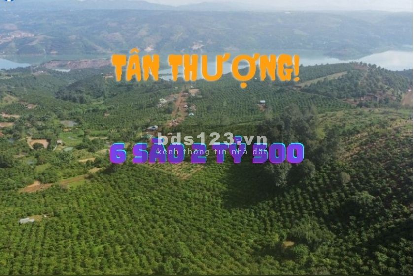 Cần mua bán đất Vườn Di Linh 6 sào đất Nông Nghiệp tại xã Tân Thượng đường lớn, xe vào được