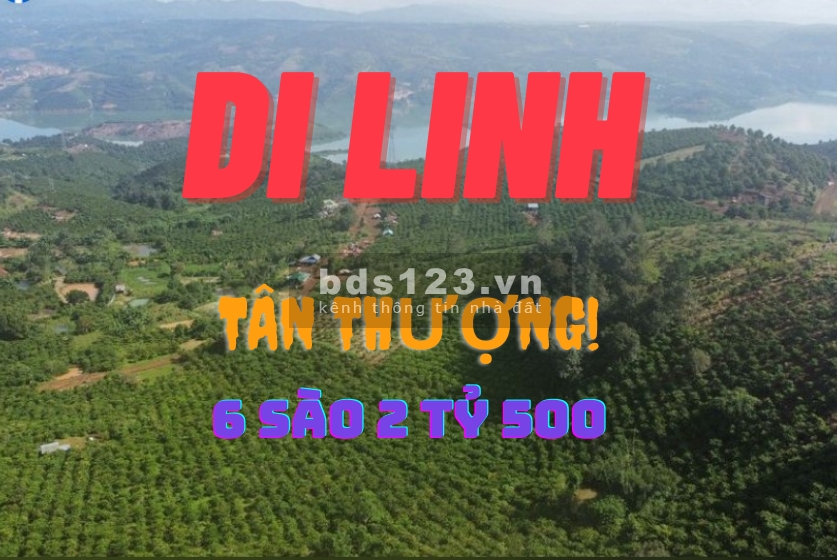Cần mua bán đất Vườn Di Linh 6 sào đất Nông Nghiệp tại xã Tân Thượng đường lớn, xe vào được