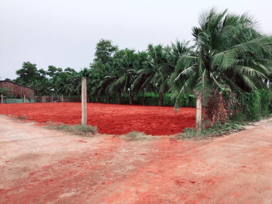 Đất nền Hàm Thắng gần trung tâm Phan Thiết cách Quốc Lộ 1A 50m sổ riêng từng nền