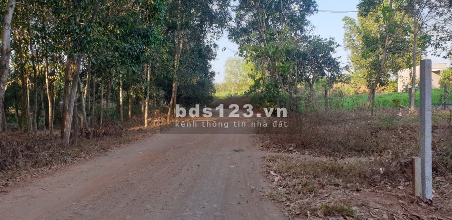 Bán 7 sào 6 view hồ Suối Cát chỉ 700 triệu/s, liên hệ xem đất 0909196325 sổ đỏ chính chủ