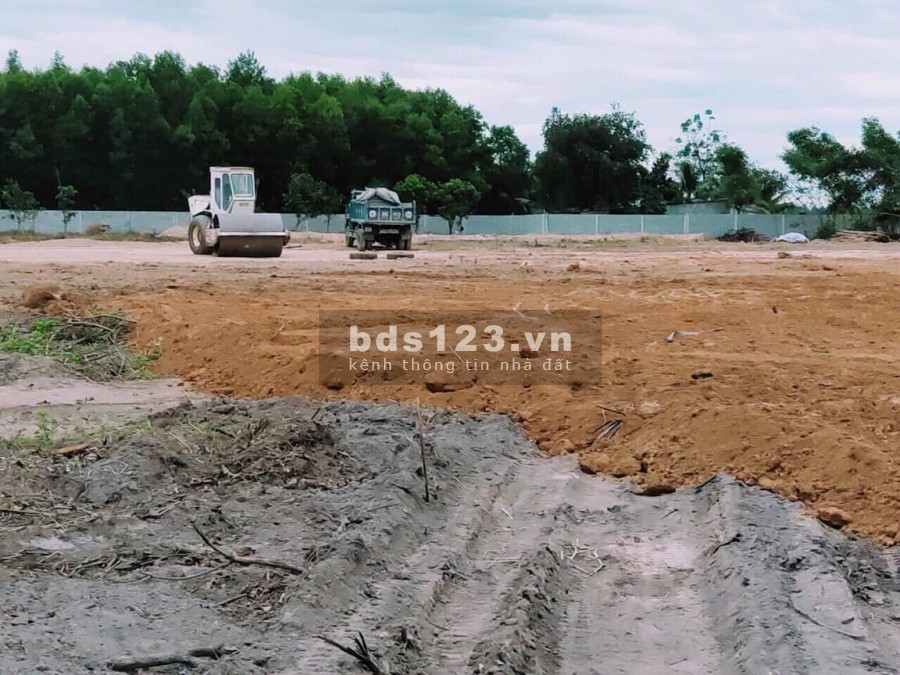 Chuyển nhượng dự án chăn nuôi gà mô hình hiện đại, đất được sang lắp bằng phẳng, giá tốt