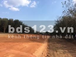 Bán đất thổ cư giá đầu tư mặt tiền Quy Hoạch 28m ngay KCN Becamex diện tích 6300ha
