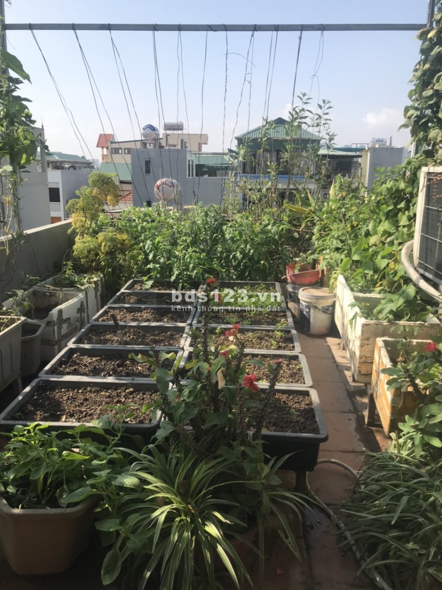 Chuyển lên phố bán rẻ nhà Thanh Lân, Hoàng Mai, cách oto 10m, 33m2 x 4.5 tầng, hơn 2tỷ.