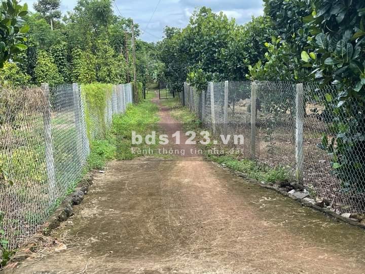 Bán đất thổ cư, sổ hồng riêng, giá dầu tư tại tp Long Khánh, khu vực đông dân cư
