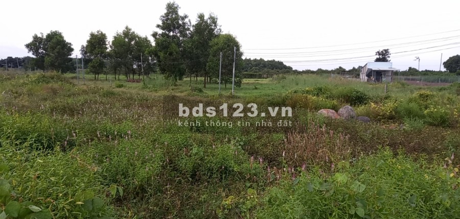 Đất mặt tiền Đoàn Trung Còn 15m mặt tiền giá chỉ 1.1 tỷ, pháp lý chuẩn sổ chính chủ, lhcc