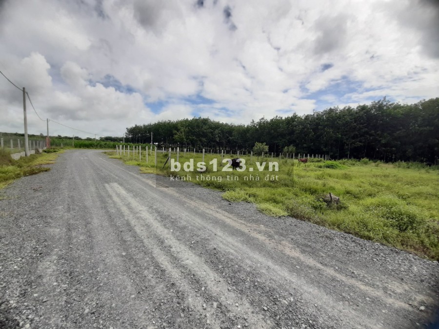 Bán lô đất 1200m2 nằm ngay khu dân cư trục đường chính Nguyễn Thị Rành giá 1.6 tỷ