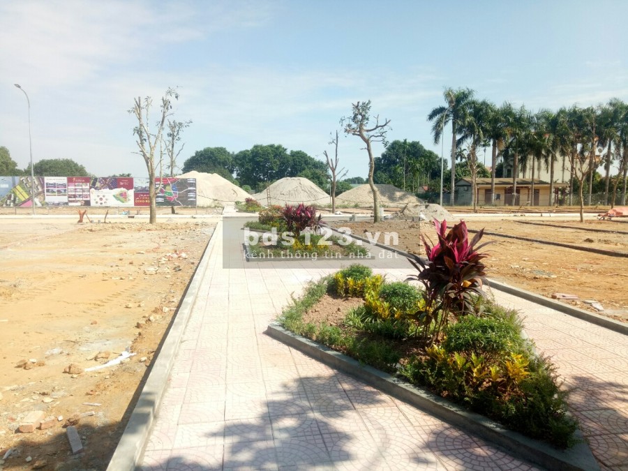 Siêu phẩm 40 lô Phú Cát, ngã tư Quốc Lộ 21 và ĐT 446 giá bán 24 triệu/m2, pháp lý chính chủ