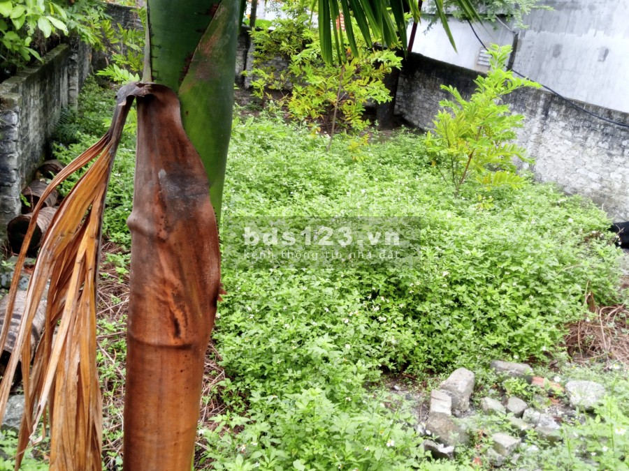 Đường Quốc Lộ 18 Khu Phú Thanh Đông Yên Thanh Uông Bí Quảng Ninh giá 10 triệu/m2