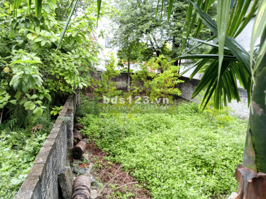 Đường Quốc Lộ 18 Khu Phú Thanh Đông Yên Thanh Uông Bí Quảng Ninh giá 10 triệu/m2