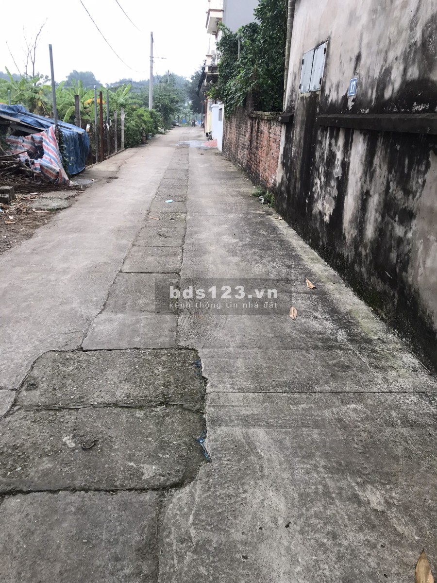 Bán đất diện tích 120m2 tại Tân Phong Thuỵ Phương có thể bán 1 nữa diện tích