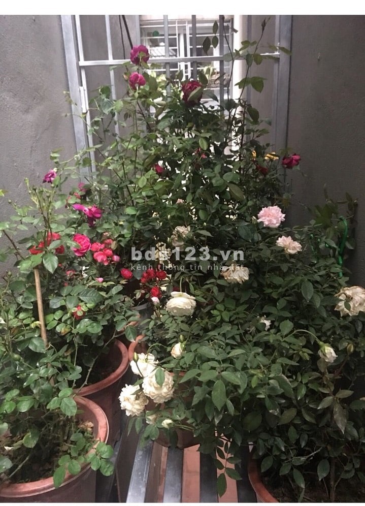 Cần bán nhà nguyên căn Nguyễn Ngọc Nại, diện tích sử dụng 30m2, 3 tầng, giá bán 2.6 tỷ